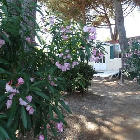 Comfort Mobilehome Camping Ameglia 5 Pers 327 Ameglia